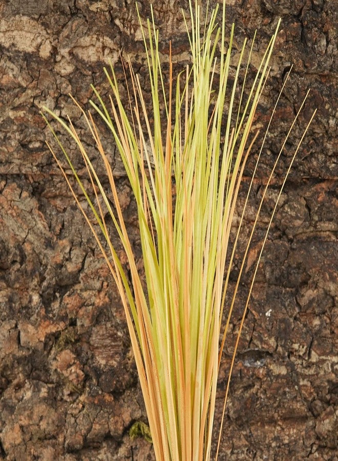 WOLEDOE Fake Desert Dry Grass, Reptile Plants for Terrarium, Bearded Dragon Tank Accessories Habitat Decor fit Crested Gecko Leopard Lizard Chameleon Ball Python Snake - Image 3